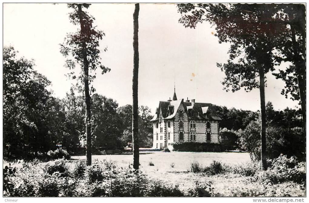 NEUILLAY LES BOIS CHATEAU DE BOIS ROBERT CENTRE AERE DE CHATEAUROUX - Sonstige & Ohne Zuordnung