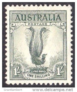 Australia 1937 Lyrebird 1 Shilling (small) MH  SG 174 - Nuovi