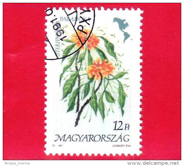 UNGHERIA - MAGYAR - 1991 - Flora D'America  - Fiori - Flowers - Steriphoma Paradoxa - 12 - Oblitérés