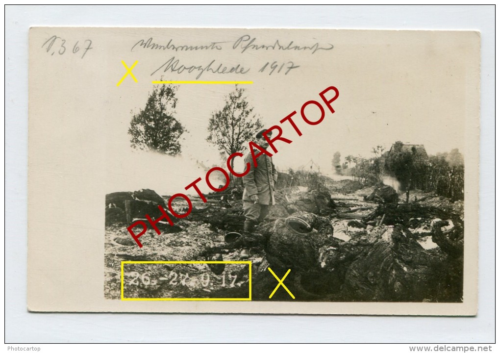 HOOGLEDE-Cadavres De Chevaux-Attaque Du 26-27-8/9-17-2 X Cartes Photo Allemandes-Guerre 14-18-1WK-BELGIQUE-BELGIEN-Fland - Hooglede