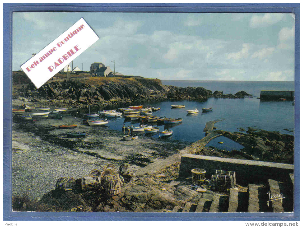 Carte Postale 29. Plauhinec-Plozevet  Casiers à Crustacés Trés Beau Plan - Plouhinec