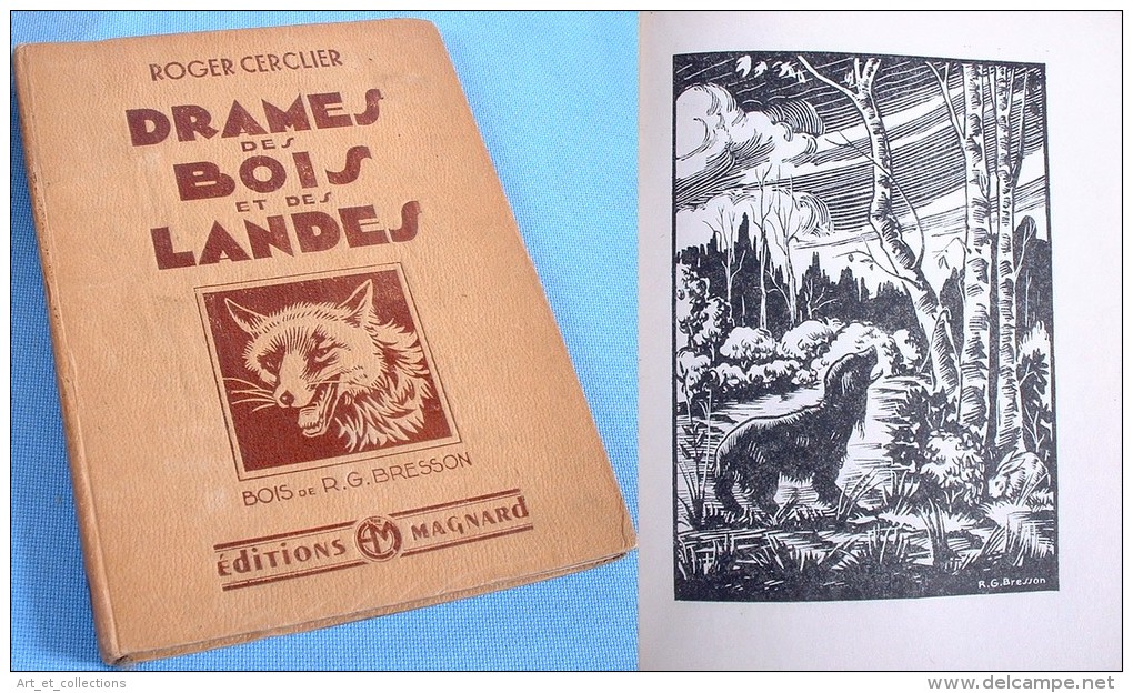 Drames Des Bois Et Des Landes / Roger Cerclier / Éditions Magnard En 1946 / Superbes Gravures Sur Bois De Bresson - Chasse/Pêche