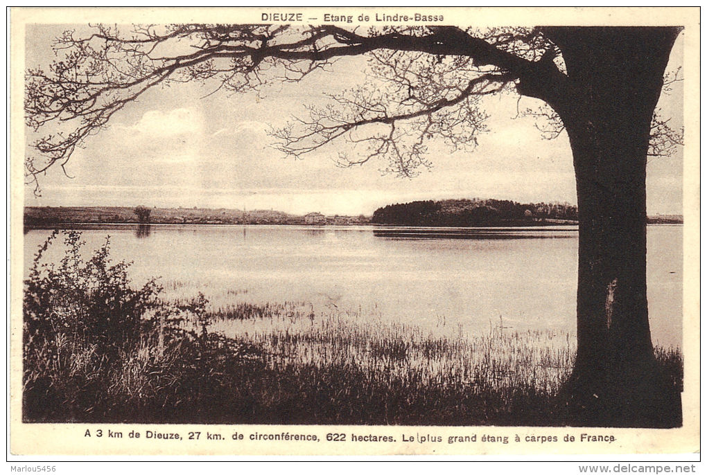 A 3 Km De Dieuze, 27 Km De Circonférence. Le Plus Grand étang à Carpes De France - Dieuze