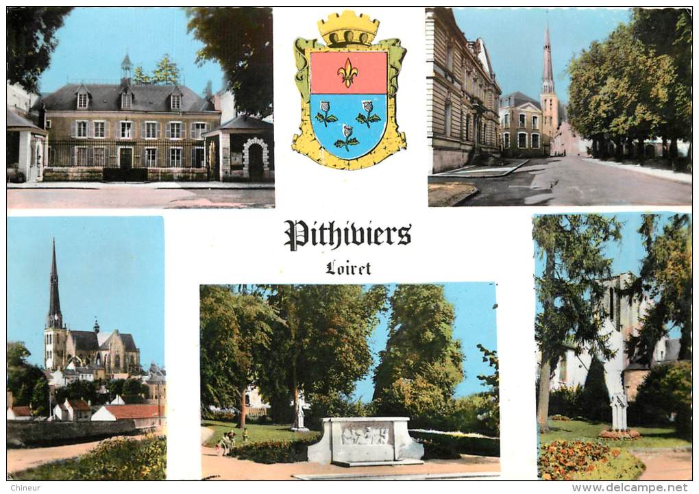 PITHIVIERS CARTE MULTIVUES - Pithiviers