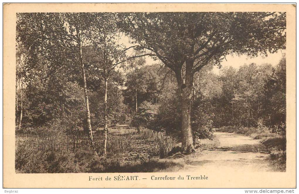 FORET DE SENART      CARREFOUR DU TREMBLE - Sénart