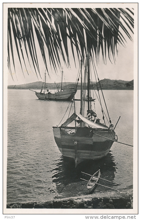 MAYOTTE - Dzaoudzi, Le Port - Mayotte