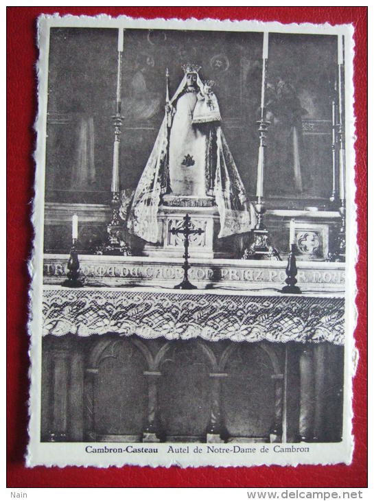 BELGIQUE - CAMBRON - CASTEAU - AUTEL DE NOTRE -DAME DE CAMBRON -  " FOTO WOUTEERS , AVERBODE " - CARTE RARE - - Brugelette