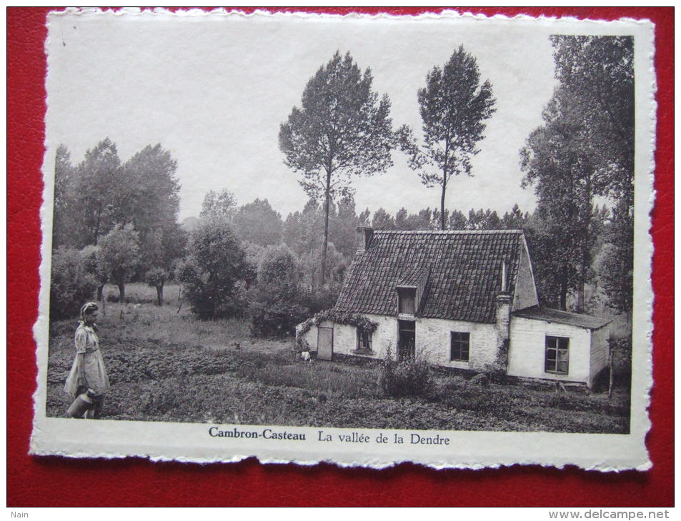 BELGIQUE - CAMBRON - CASTEAU - LA VALLEE DE LA DENDRE - LAITIERE -  " FOTO WOUTEERS , AVERBODE " - CARTE RARE - - Brugelette