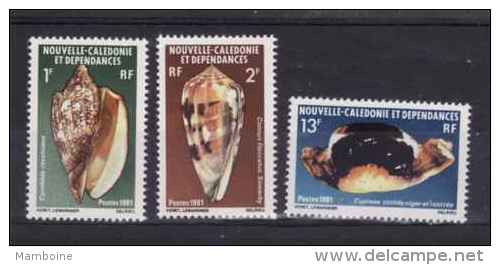 Nouvelle Calédonie 1981  N° 446 à 448    Neuf  X X Coquillage - Nuovi