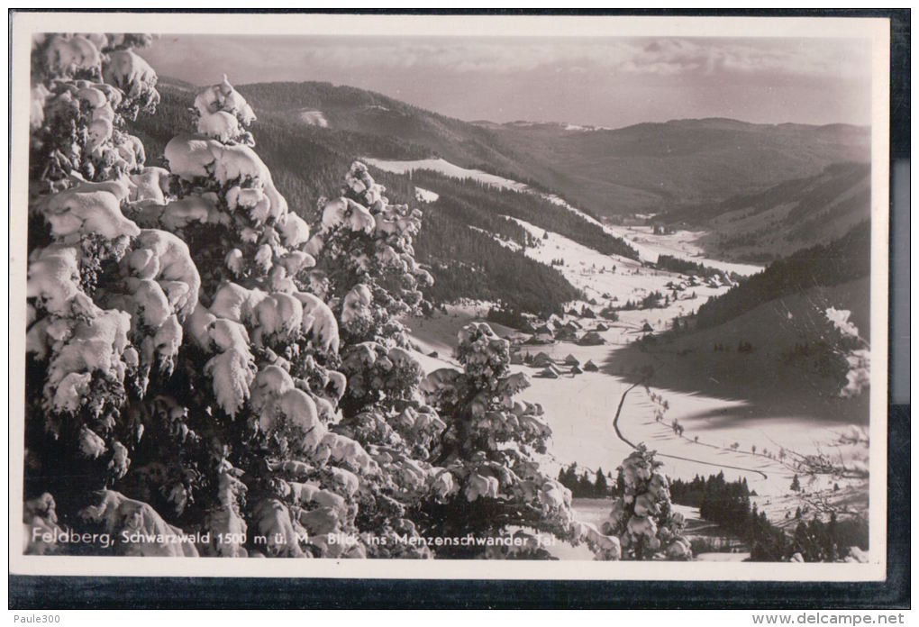 Feldberg - Blick Ins Menzenschwander Tal - Schwarzwald - Feldberg