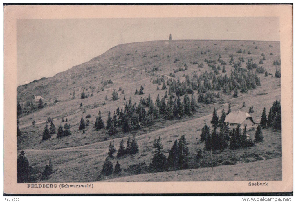 Feldberg - Seebuck - Schwarzwald - Feldberg