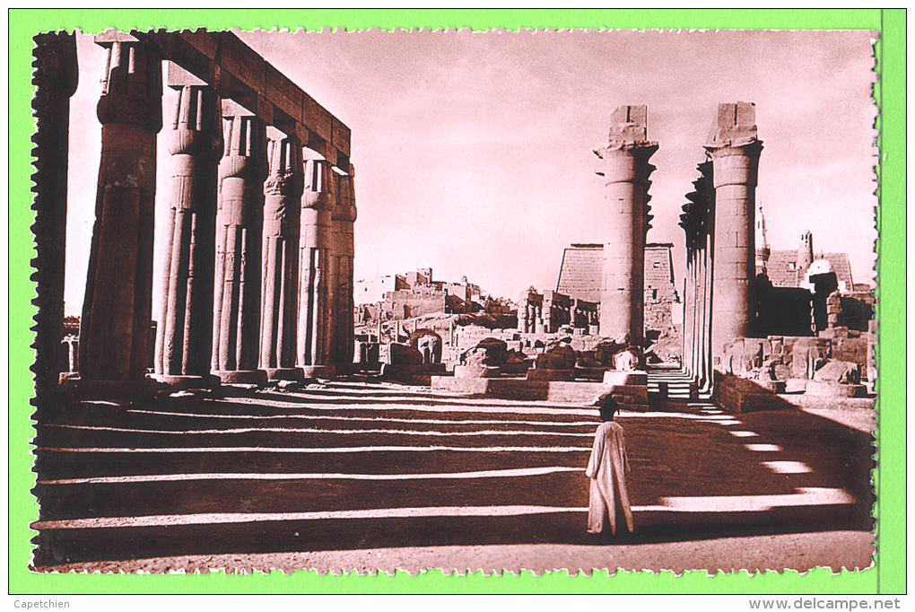 LUXOR / LE TEMPLE.... / Carte Vierge - Louxor