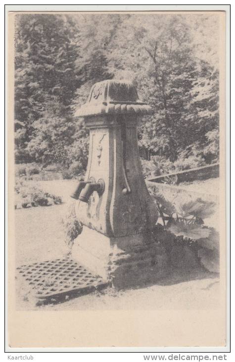 Arnhem: Waterpomp In De Oud-Nederlandse Kruidentuin / Waterpump Herb Garden - 'Openluchtmuseum' - Nederland/Holland - Arnhem