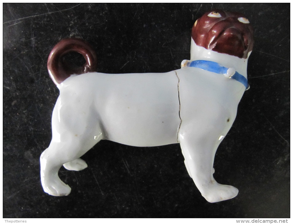 37 / Carlin Chien Dog Franc Maçon Porcelaine Porzellen Porcelain Desde ? XVIIIe ? Franc-maçonnerie Masonic Meissen - Dresdner Porzellan (DEU)