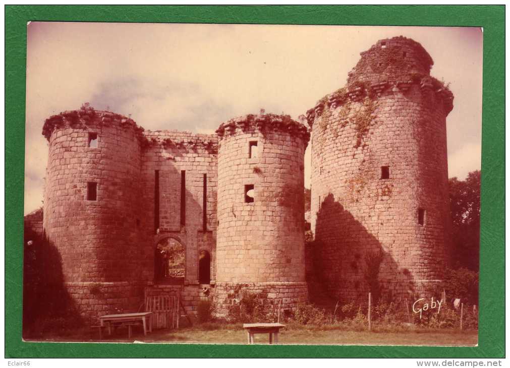 - 22 - TONQUEDEC - Ruines Du Château - Environs De Lannion -CPSM Grd Format  Couleur Direct  EDIT GABY ARTAUD - Tonquédec