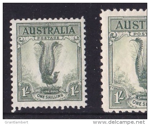 Australia 1937 Lyrebird (Small) 1/- MH  SG 174 - Nuovi