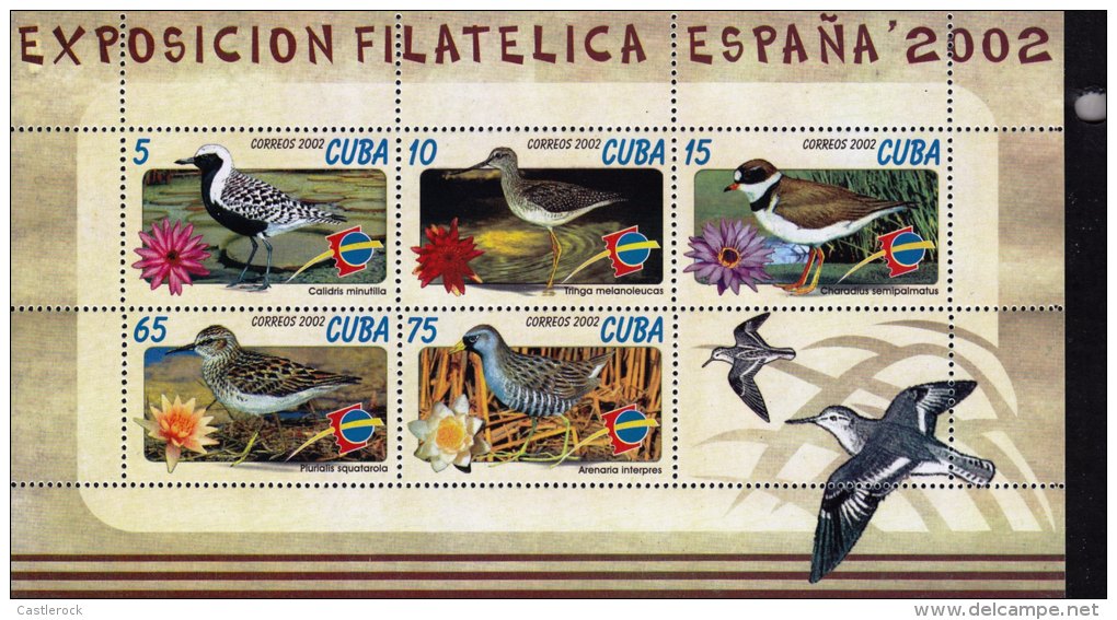 G)2002 CARIBE, BIRDS, PHILATELIC EXHIBITION SPAIN 2002, S/S, MNH - Ongebruikt