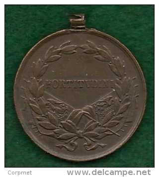 AUSTRIAN MEDAL - FORTITUDINI - WWI  1917-1918 BROZENE TAPFERKEITSMEDAILLE II. KLASSE -THE IMPERIAL AND ROYAL AUSTRO ARMY - Adel