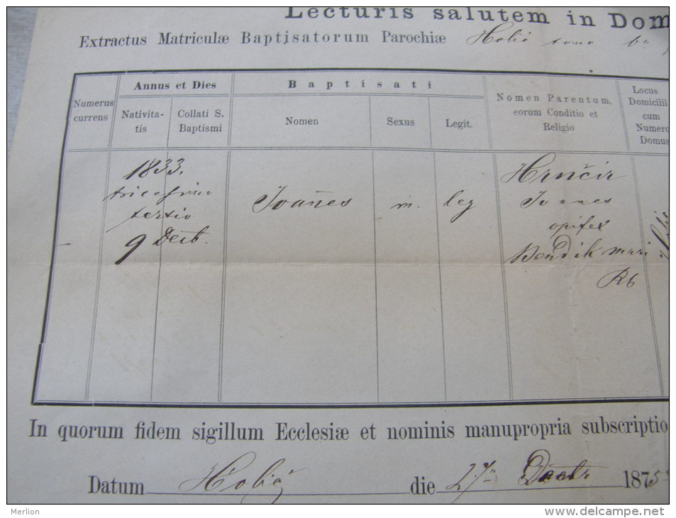 Old Paper -Slovakia -Holics -HolíÄ  - Joannes Krncir -  Maria Bondik   1875  DC9.1 - Naissance & Baptême