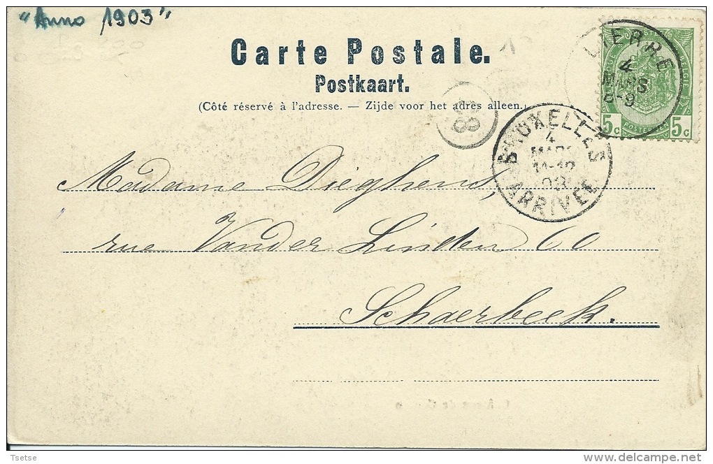 Bas-Oha - Château De Coulon - 1903 ( Voir Verso ) - Wanze