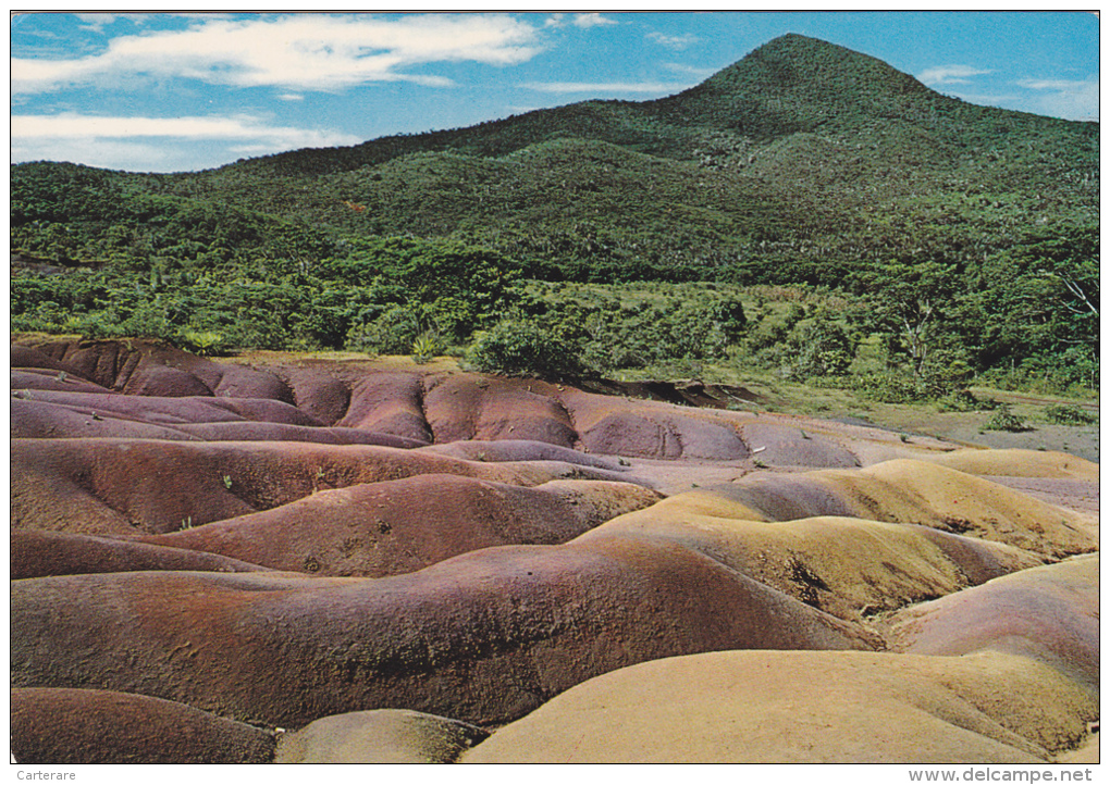 ILE MAURICE,MAURITIUS,archipel Des Mascareignes,océan Indien,ile Volcanique,CHAMAREL,terre Rouge,lave - Altri & Non Classificati