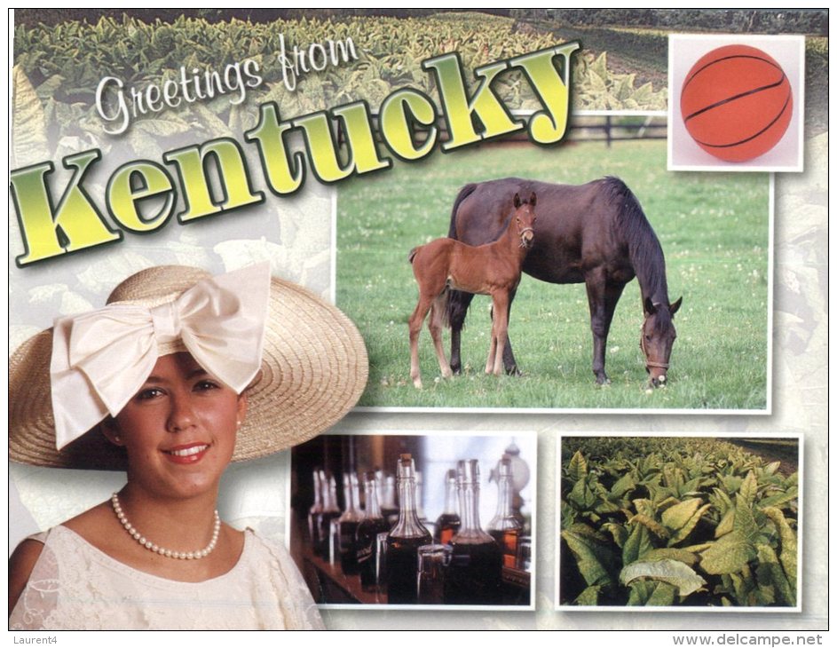 (310) Hippisme - Horse Racing - Kentucky - Basket Ball - Tobacco Growing - Basketball