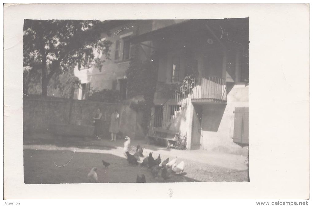 8552 - Maison à Cartigny En 1926  Les Oies Et Poules Carte Photo - Cartigny