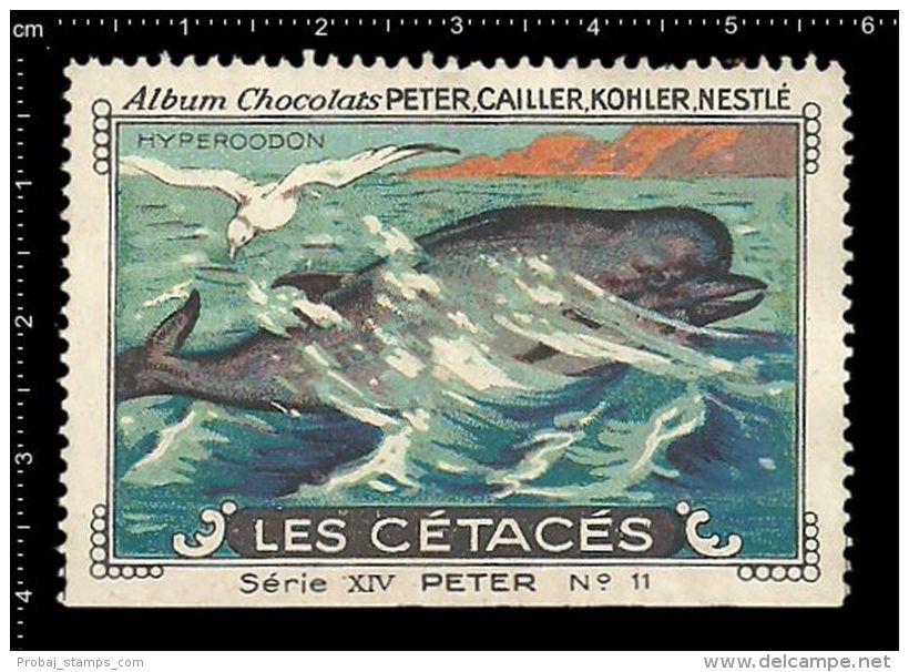 Old Original Swiss Poster Stamp (advertising Cinderella, Label) Marine Mammals, Hyperoodo, Bottlenose Whale, Entenwale - Wale