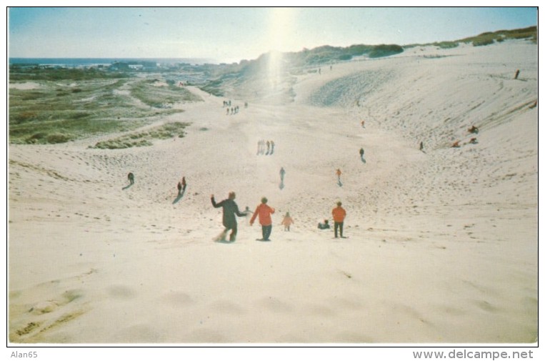 North Truro Cape Cod MA Massachusetts, Giant Sandpit, Sand Dunes, Beach Scene C1960s Vintage Postcard - Cape Cod