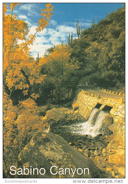 Sabino Canyon Tucson Arizona - Tucson