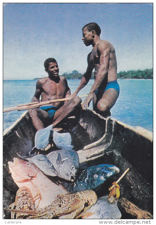 AMERIQUE,ANTILLES,MER DES CARAIBES EN 1962,SAINT KITTS,NEVIS,saint Christophe Et Niévès,LIAMUIGA,PECHEUR,M ETIER,JOB - Saint-Christophe-et-Niévès