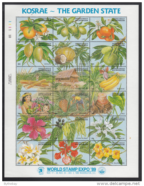 Micronesia MNH Scott #103 Sheet Of 18 25c Kosrae - The Garden State - World Stamp Expo '89 - Micronesia