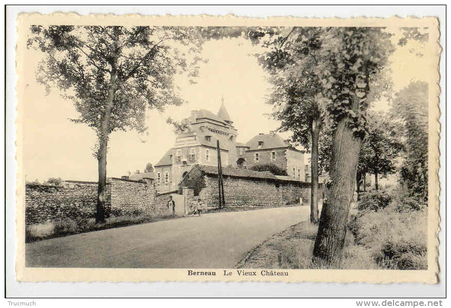 E3134 - Berneau Le Vieux Château - Dalhem