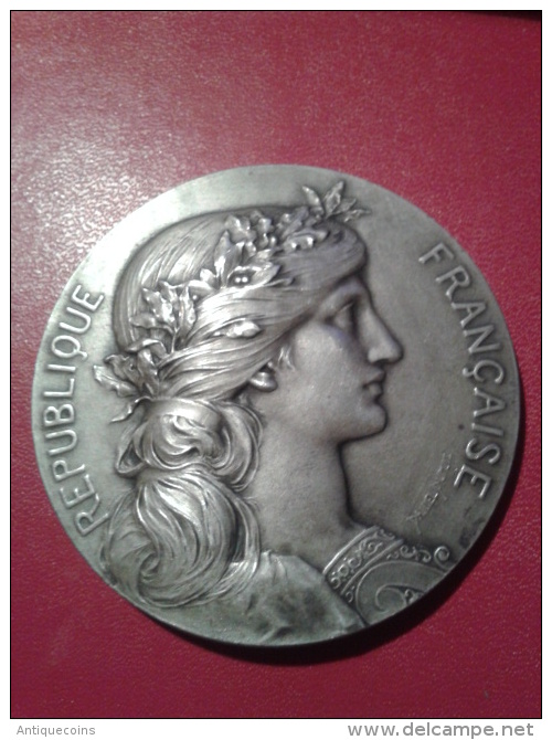 MEDAILLE SOUVENIR DE LA GRANDE GUERRE "1919" - Francia