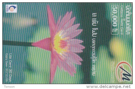 Laos, Lao Telecom, Refill Card, Flower, 2 Scans. - Laos