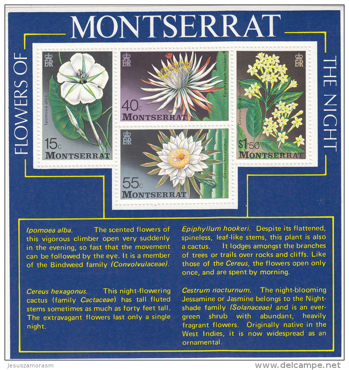 Montserrat Hb 13 - Montserrat