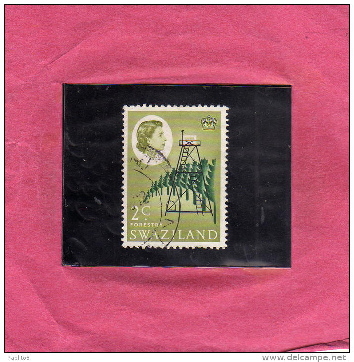 SWAZILAND 1962 DEFINITIVE FORESTRY 2 CENT. USED - Swaziland (1968-...)