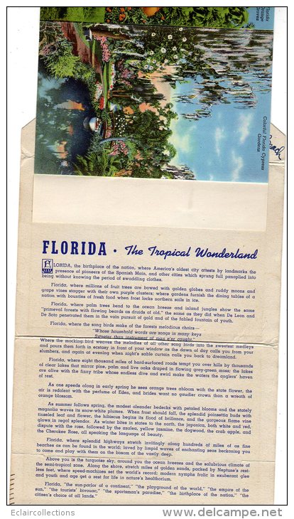 Etats Unis  Florida Tropical Wonderland  Carnet Souvenir De 9 Vues Recto-Verso Soit Un Total De 18 Vues (voir Scan) - Other & Unclassified