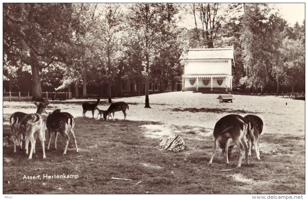 Hertenkamp - Assen