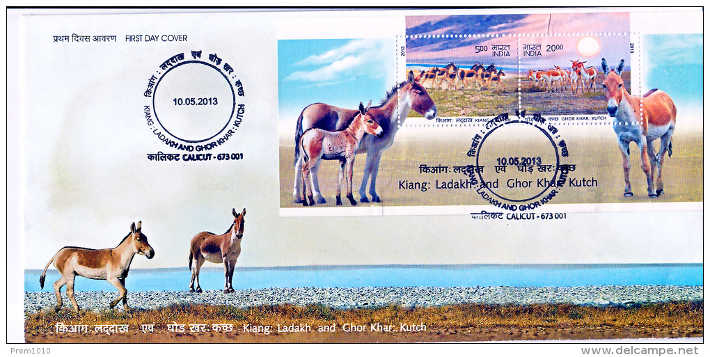 INDIA- 2013 WILD ASSES OF LADAKH & KUTCH- FDC M/S + MNH SET COMBO OFFER - Donkeys