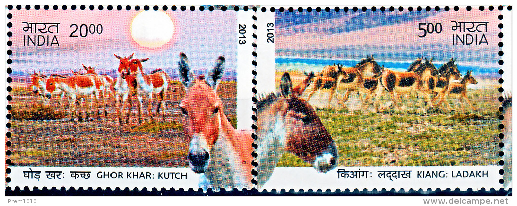 INDIA- 2013 WILD ASSES OF LADAKH & KUTCH- FDC M/S + MNH SET COMBO OFFER - Donkeys