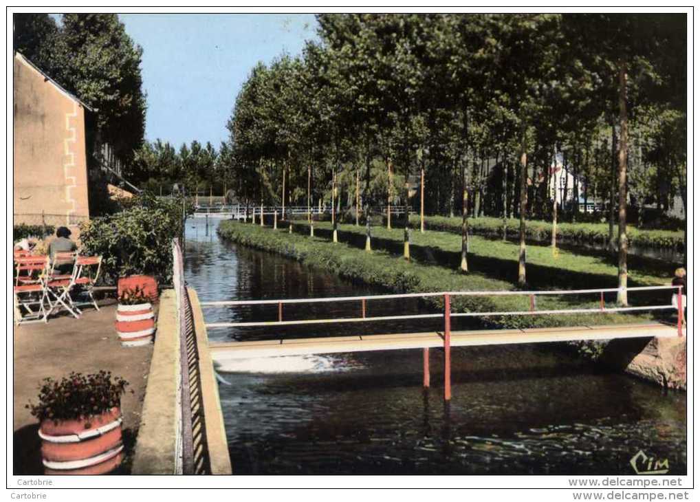 22 - LA CHÈZE - Les Bords Du Lié - CPSM - La Chèze