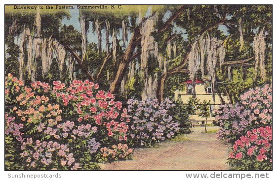 Driveway To The Postern Summerville South Carolina 1954 - Summerville