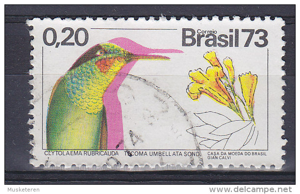 Brazil 1974 Mi. 1370     0.20 (Cr) Bird Vogel Oiseau Brasilien-Rubinkolibri - Gebraucht