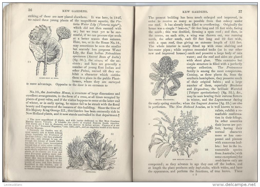 Botanique/Horticulture/Gu ide / Royal Botanic Garden of KEW/ W.J. HOOKER/ London/ 1848  LIV12