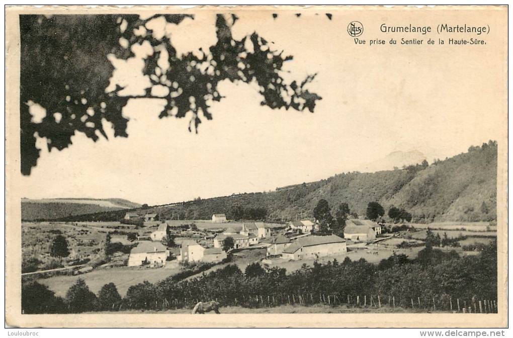 GRUMELANGE MARTELANGE  VUE PRISE DU SENTIER DE LA HAUTE  SURE - Martelange