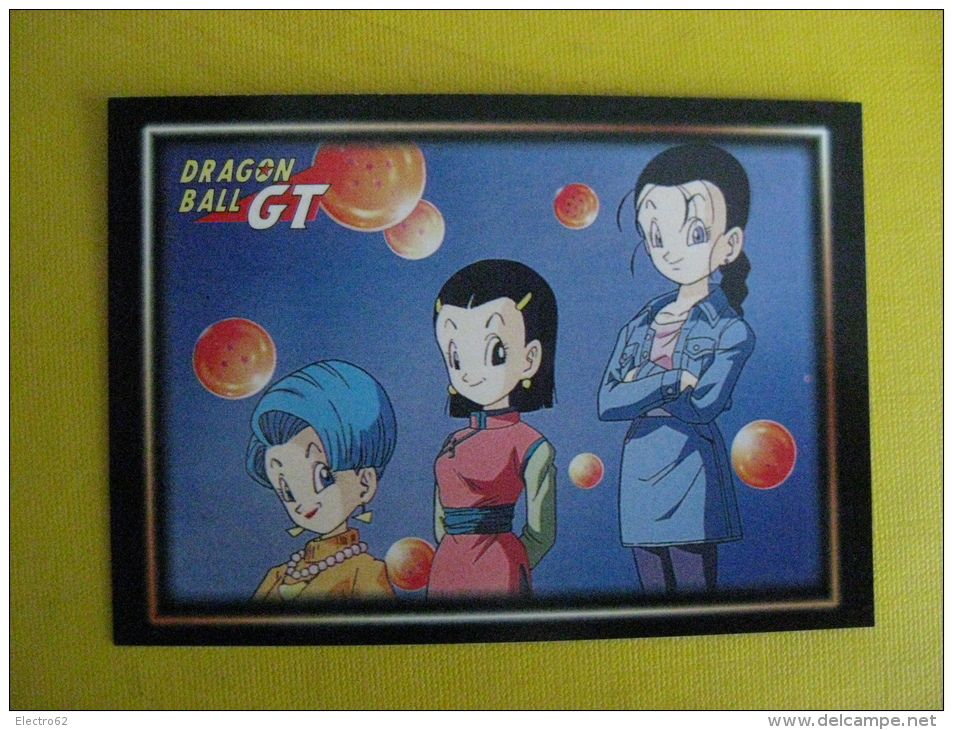 PANINI Trading Cards Dragonball GT / N°14 - Dragonball Z