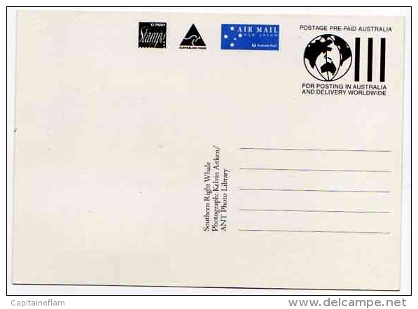 WHALE Baleine Wal Entier Postal Stationery New Zealand Postmarked Deepwater Nsw 1 October 1998 - Wale