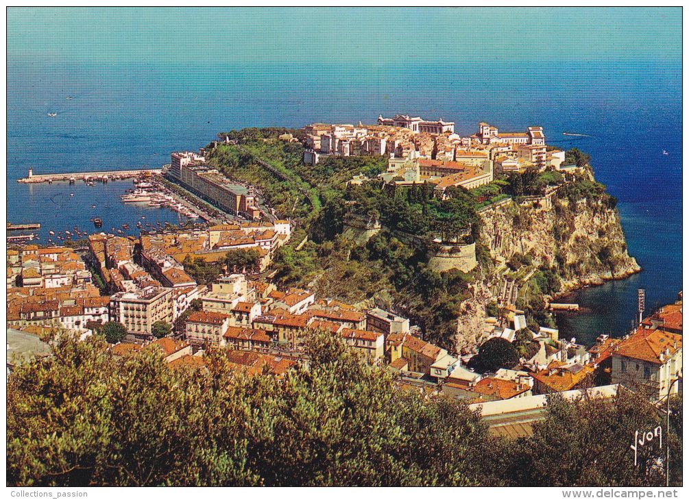 Cp , MONACO , Le Rocher De Monaco - Tarjetas Panorámicas