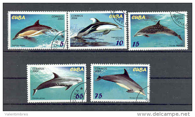 Cuba 4194.98 °  Dauphins Dolphin Delfin Delphin - Delfines